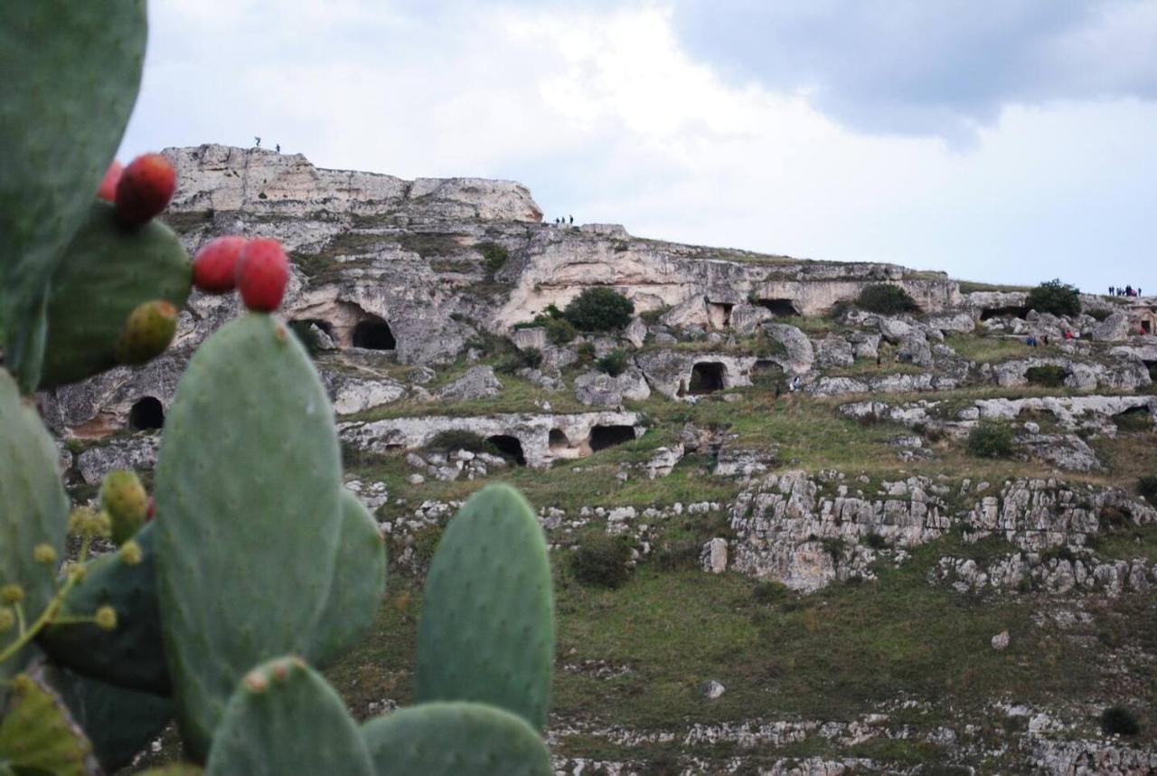 Casa Vacanze Domus Centrale Villa Matera Exterior photo